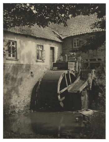 Fotograf: Hickstein, Carmen, Copyright: 1