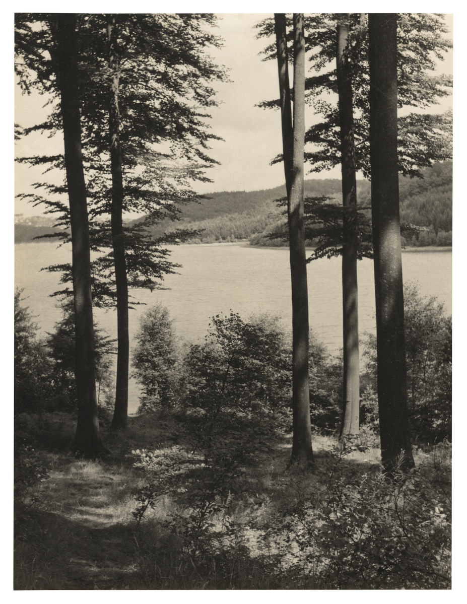 Fotograf: Hickstein, Carmen, Copyright: 1