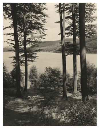 Fotograf: Hickstein, Carmen, Copyright: 1