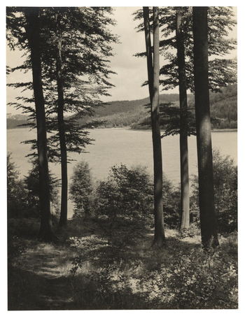 Fotograf: Hickstein, Carmen, Copyright: 1