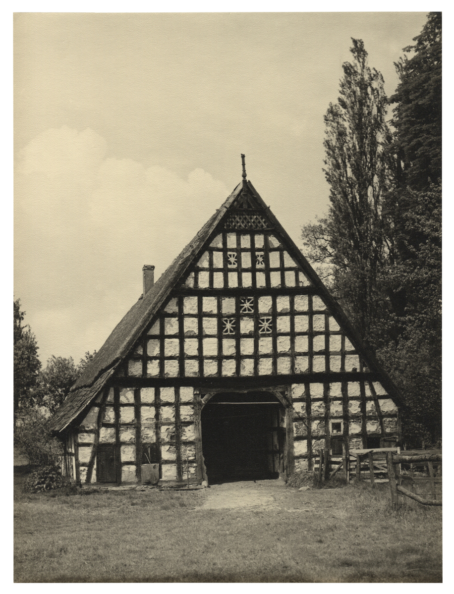 Fotograf: Hickstein, Carmen, Copyright: 1