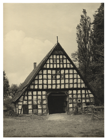 Fotograf: Hickstein, Carmen, Copyright: 1