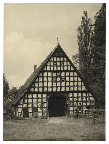 Fotograf: Hickstein, Carmen, Copyright: 1