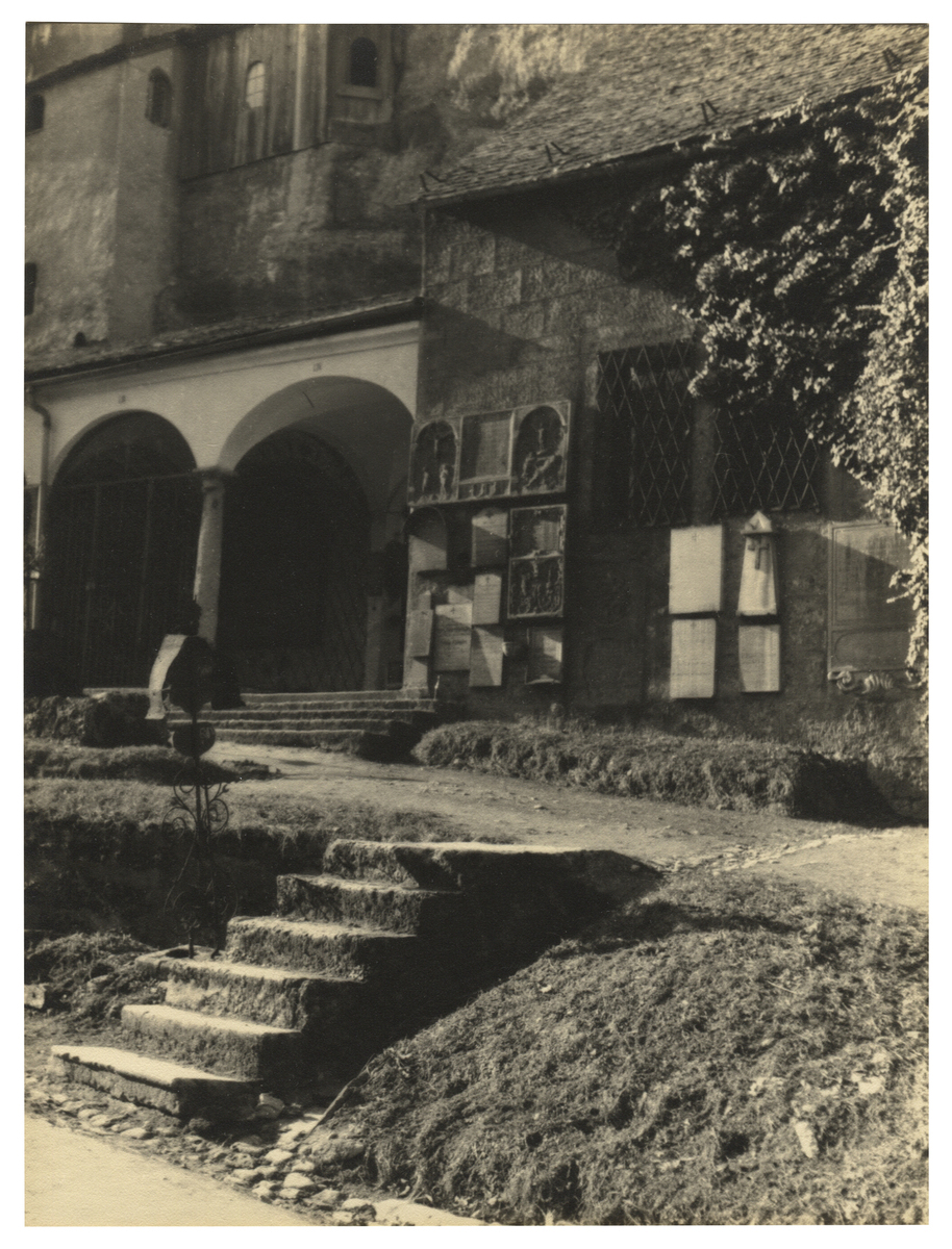 Fotograf: Hickstein, Carmen, Copyright: 1