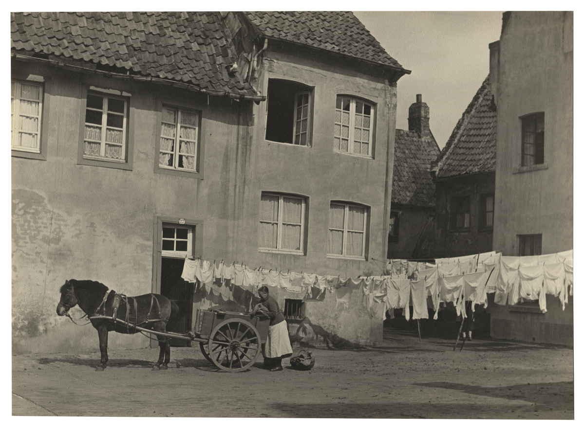 Fotograf: Hickstein, Carmen, Copyright: 1