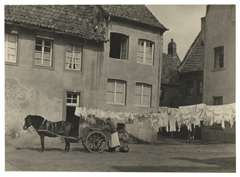 Fotograf: Hickstein, Carmen, Copyright: 1