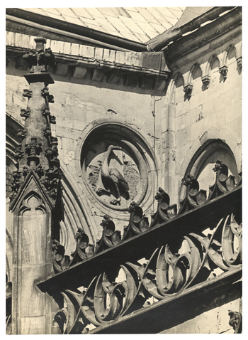 Fotograf: Hickstein, Carmen, Copyright: 1