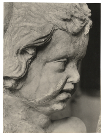 Fotograf: Hickstein, Carmen, Copyright: 1