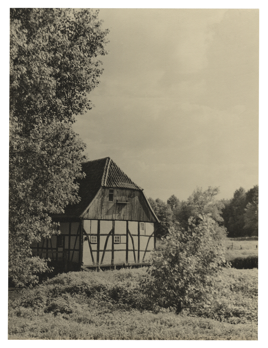 Photographer: Hickstein, Carmen, Copyright: 1