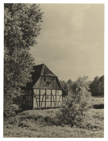 Fotograf: Hickstein, Carmen, Copyright: 1