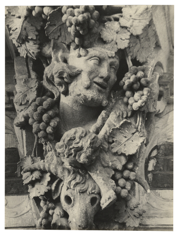 Fotograf: Hickstein, Carmen, Copyright: 1