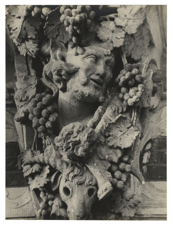 Fotograf: Hickstein, Carmen, Copyright: 1