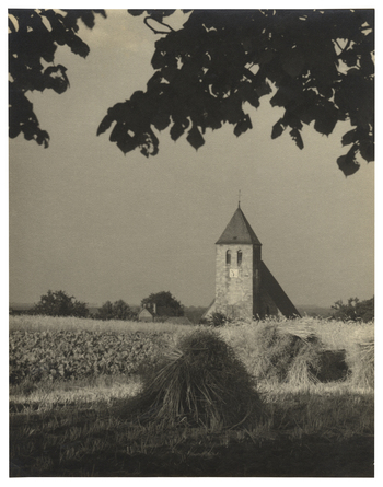 Fotograf: Hickstein, Carmen, Copyright: 1