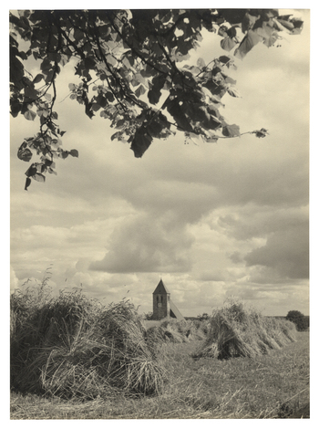 Fotograf: Hickstein, Carmen, Copyright: 1