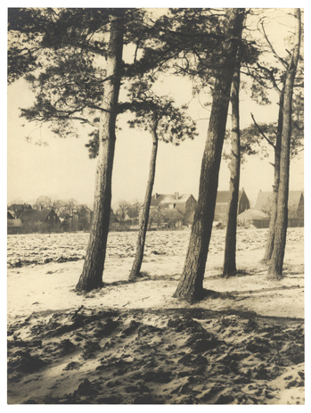 Fotograf: Hickstein, Carmen, Copyright: 1