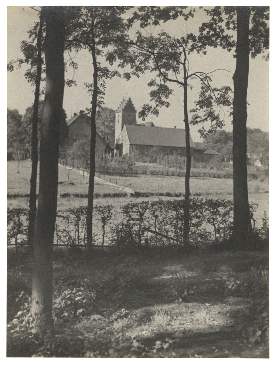 Fotograf: Hickstein, Carmen, Copyright: 1