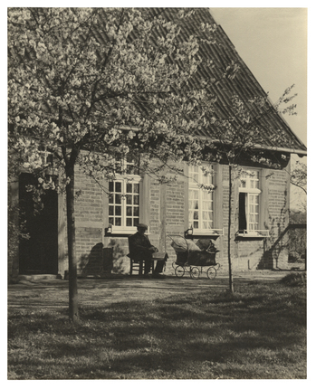 Fotograf: Hickstein, Carmen, Copyright: 1