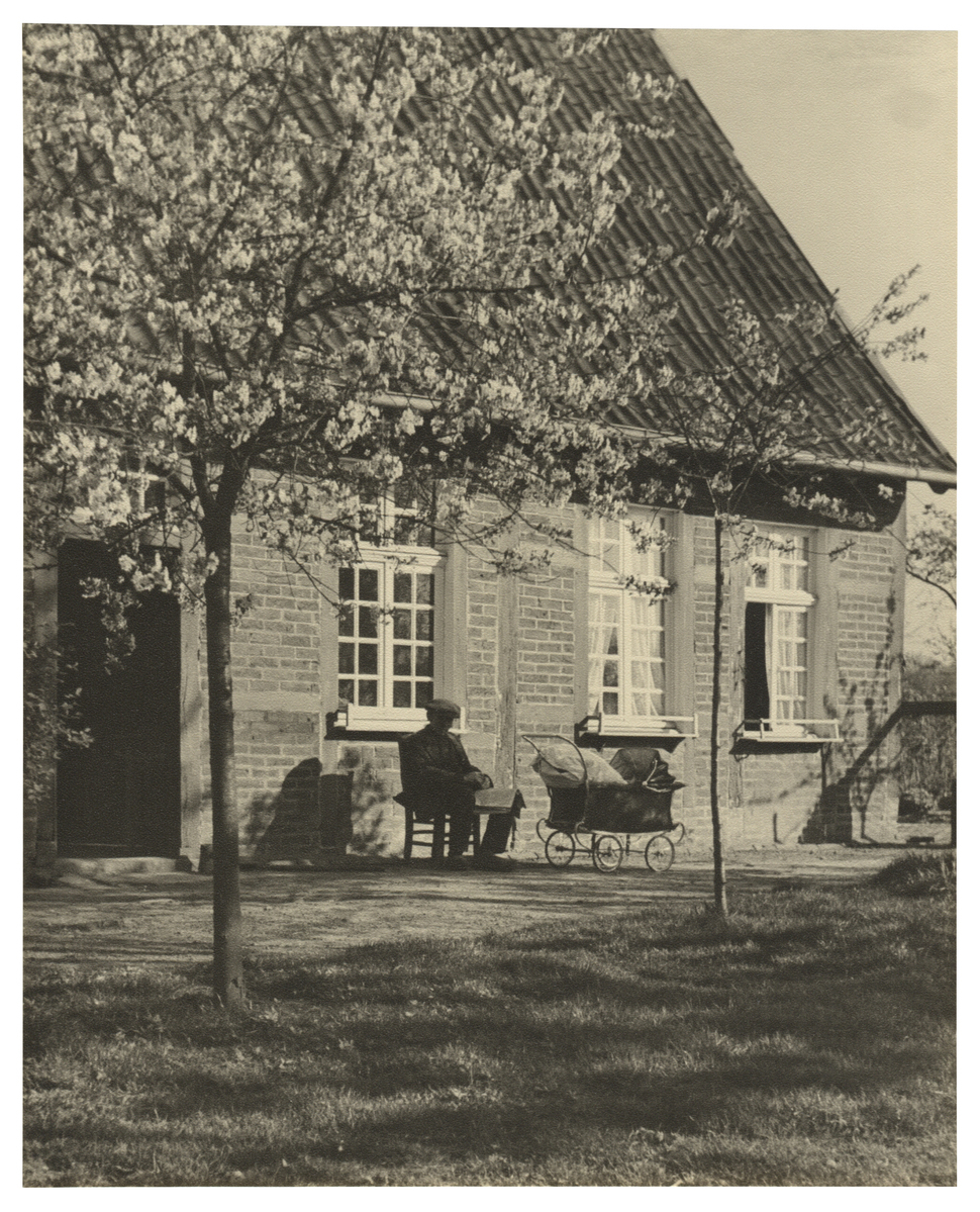 Fotograf: Hickstein, Carmen, Copyright: 1