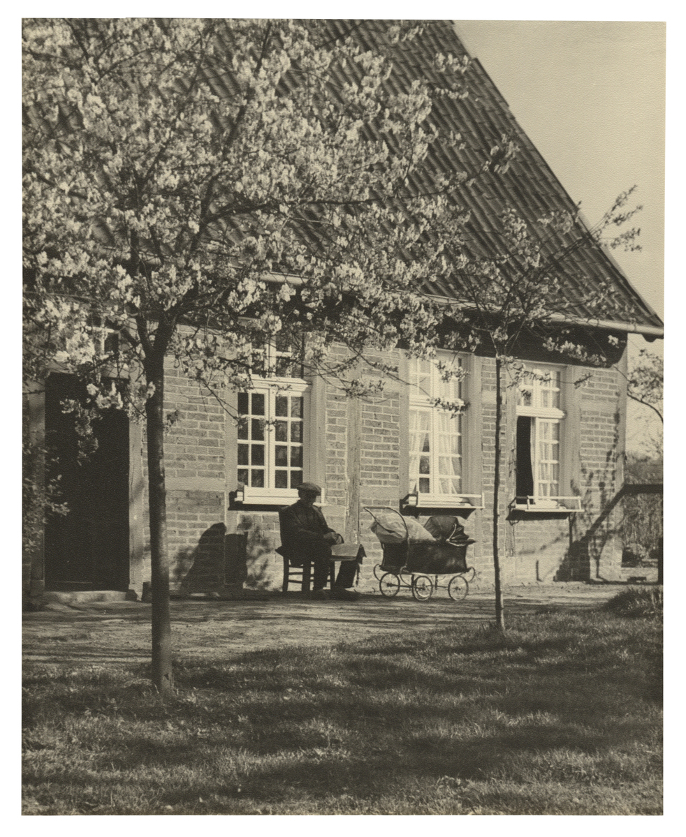 Fotograf: Hickstein, Carmen, Copyright: 1