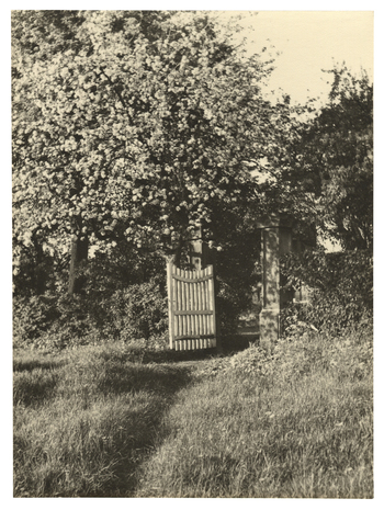 Fotograf: Hickstein, Carmen, Copyright: 1