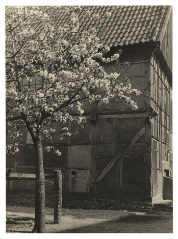 Fotograf: Hickstein, Carmen, Copyright: 1