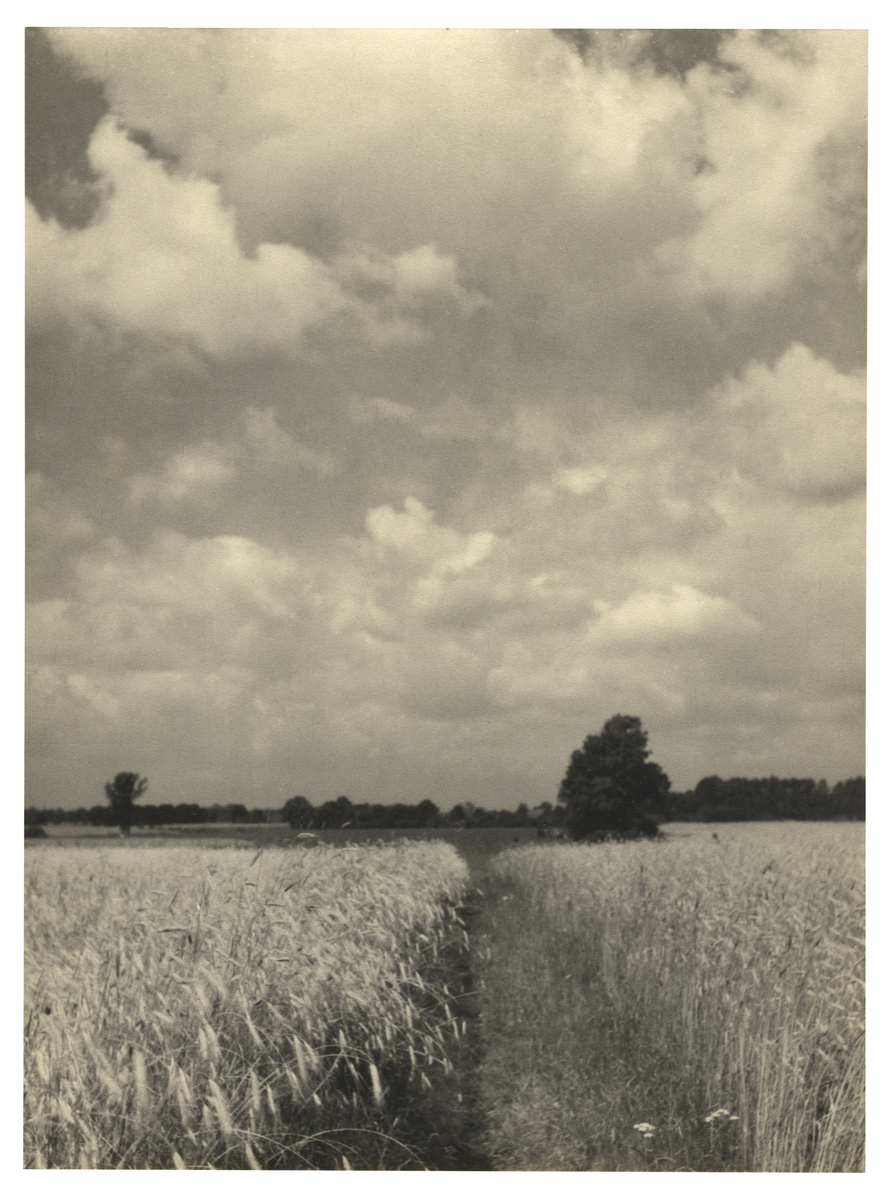 Fotograf: Hickstein, Carmen, Copyright: 1