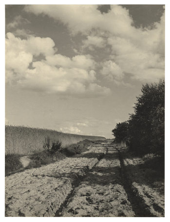 Fotograf: Hickstein, Carmen, Copyright: 1