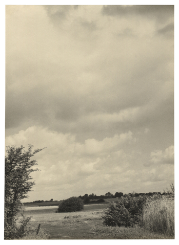 Fotograf: Hickstein, Carmen, Copyright: 1