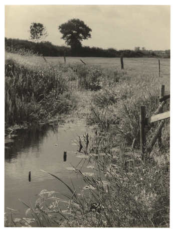 Fotograf: Hickstein, Carmen, Copyright: 1