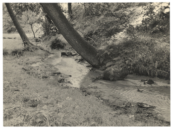 Fotograf: Hickstein, Carmen, Copyright: 1