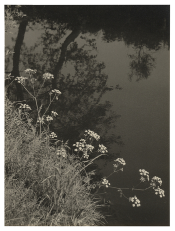 Fotograf: Hickstein, Carmen, Copyright: 1