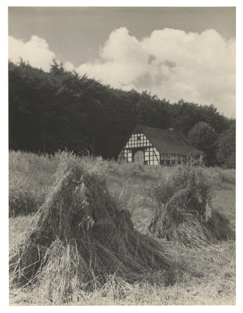 Fotograf: Hickstein, Carmen, Copyright: 1