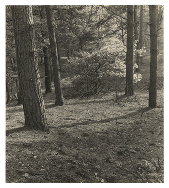 Fotograf: Hickstein, Carmen, Copyright: 1