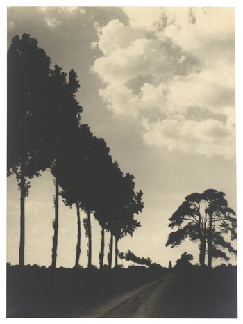 Fotograf: Hickstein, Carmen, Copyright: 1