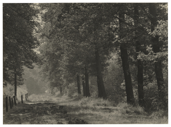 Fotograf: Hickstein, Carmen, Copyright: 1