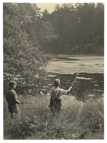 Fotograf: Hickstein, Carmen, Copyright: 1