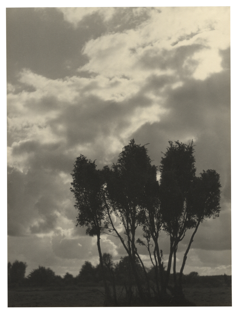 Fotograf: Hickstein, Carmen, Copyright: 1