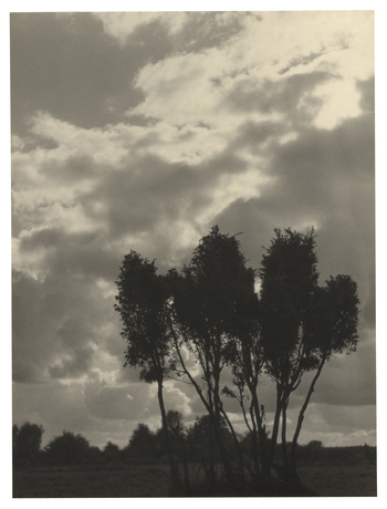 Fotograf: Hickstein, Carmen, Copyright: 1