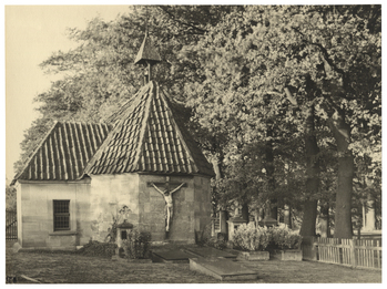 Fotograf: Hickstein, Carmen, Copyright: 1