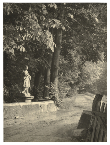 Fotograf: Hickstein, Carmen, Copyright: 1