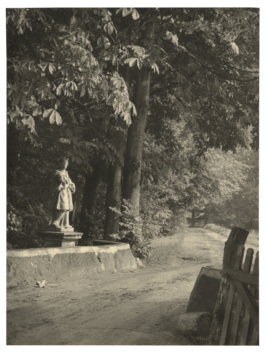 Fotograf: Hickstein, Carmen, Copyright: 1