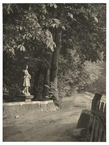 Fotograf: Hickstein, Carmen, Copyright: 1