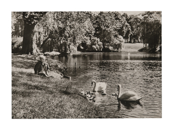 Fotograf: Hickstein, Carmen, Copyright: 1