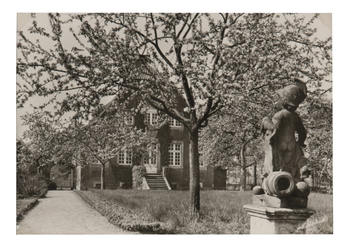 Fotograf: Hickstein, Carmen, Copyright: 1