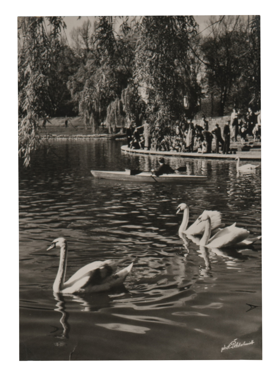 Fotograf: Hickstein, Carmen, Copyright: 1