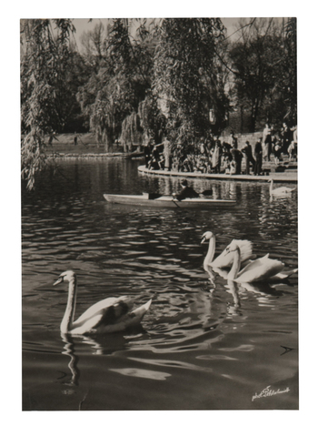 Fotograf: Hickstein, Carmen, Copyright: 1