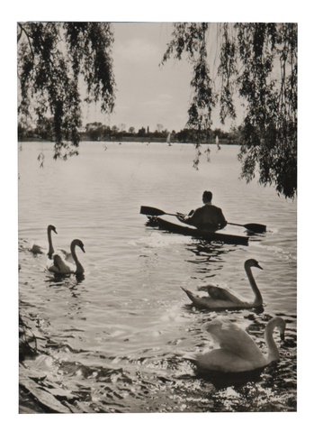 Fotograf: Hickstein, Carmen, Copyright: 1