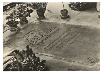 Fotograf: Hickstein, Carmen, Copyright: 1