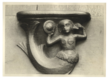 Fotograf: Hickstein, Carmen, Copyright: 1