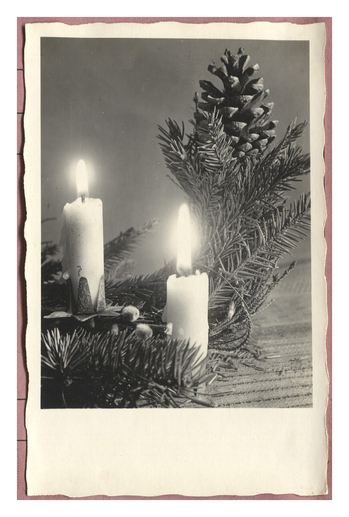 Fotograf: Hickstein, Carmen, Copyright: 1